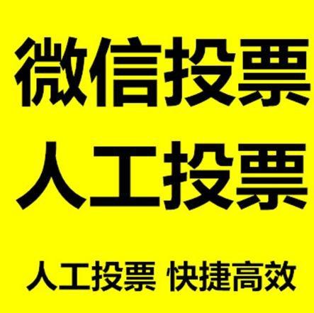 海北藏族自治州微信刷票怎么投票